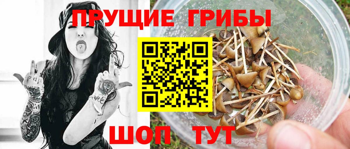 Псилоцибиновые грибы MAGIC MUSHROOMS Тосно