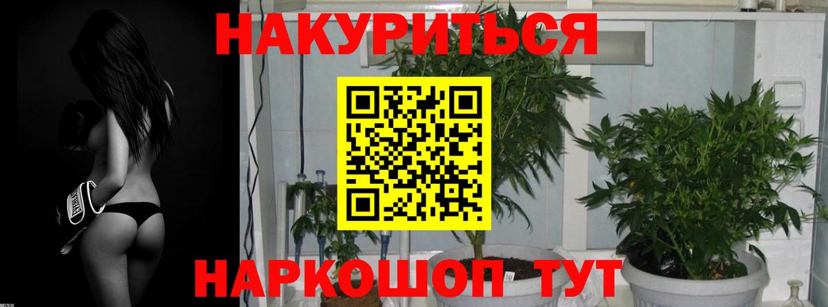 Шишки марихуана VHQ Тосно